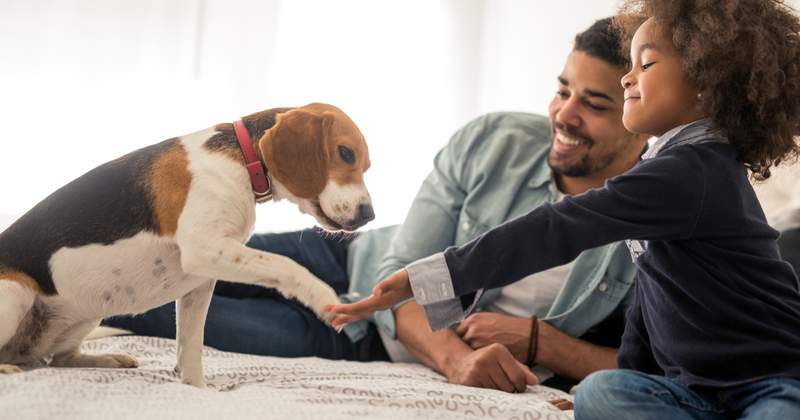 Is it time for an insurance checkup?