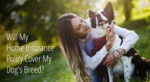 Will My Home Insurance Policy Cover My Dog's Breed